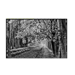 Пейзаж на обратной стороне памятника 6